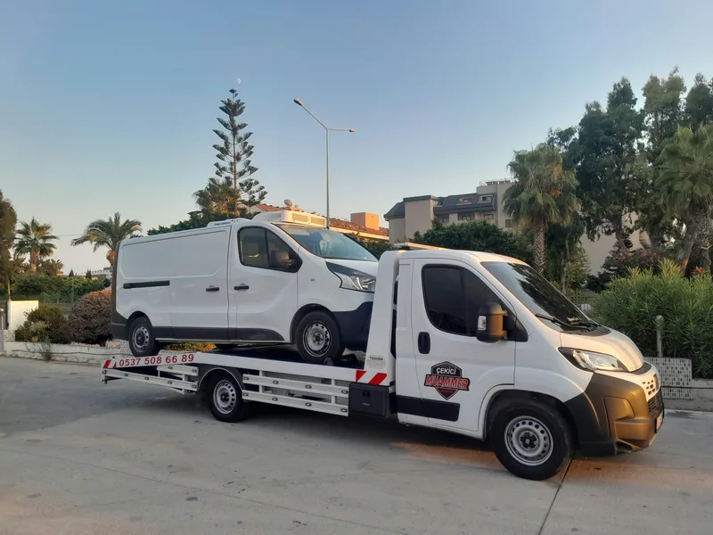 Platformlu kurtarıcı üzerinde taşınan hafif ticari araç